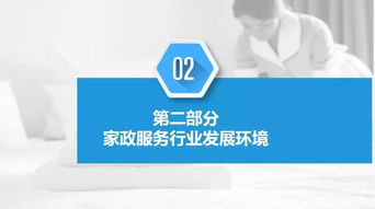 2019年中國家政服務行業市場前景研究報告